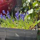 肩こり首こりの方のご来店が増えています。